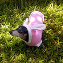 Roupa pet de coelho para cachorro e gato FANTASIA PET coelho da pascoa