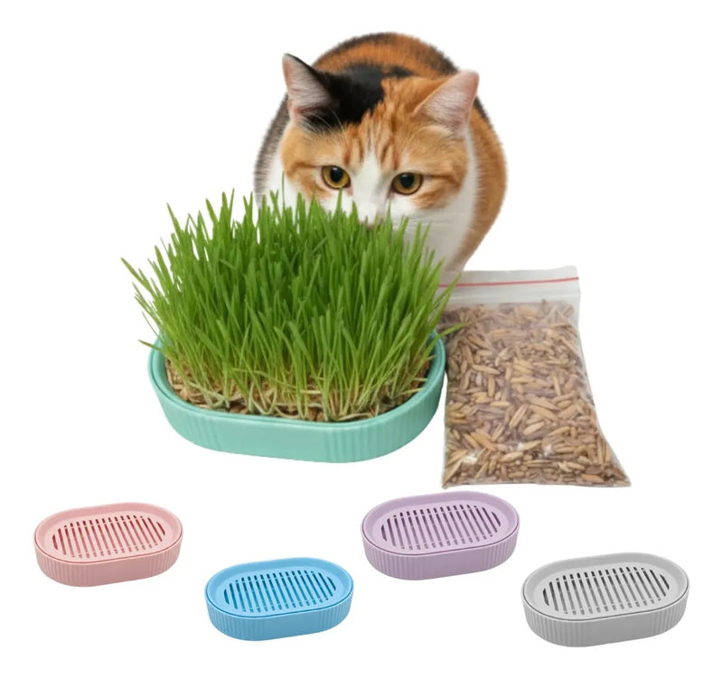 Bandeja Hidropônica com Mix de sementes