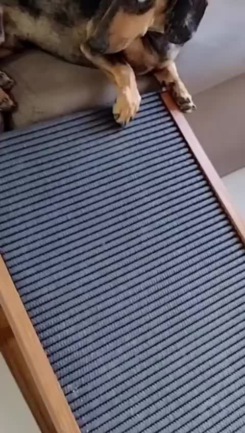 Rampa Pet para Cama e Sofá Antiderrapante Cães Gatos Ajustável Madeira de Pinus Regulável Cachorros
