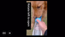 Garrafa De Água 2 Em 1 Portátil Para Gatos Cães E Dispensador Multifuncional