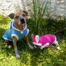 Roupa pet de coelho para cachorro e gato FANTASIA PET coelho da pascoa