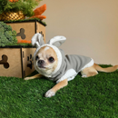 Roupa pet de coelho para cachorro e gato FANTASIA PET coelho da pascoa