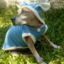 Fantasia de Coelho para Cães e Gatos – Tamanhos 0 ao 12 PÁSCOA