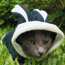 Roupa pet de coelho para cachorro e gato FANTASIA PET coelho da pascoa