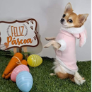 Fantasia de Coelho para Cães e Gatos – Tamanhos 0 ao 12 PÁSCOA