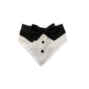 Bandana Pet Social com Gravatinha