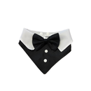 Bandana Pet Social com Gravatinha