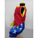 Vestido Pet Mulher Maravilha Roupinha de Cachorro Mulher Maravilha