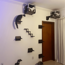 Playground para Gatos Kombi Lançamento + 3 degraus Promoção