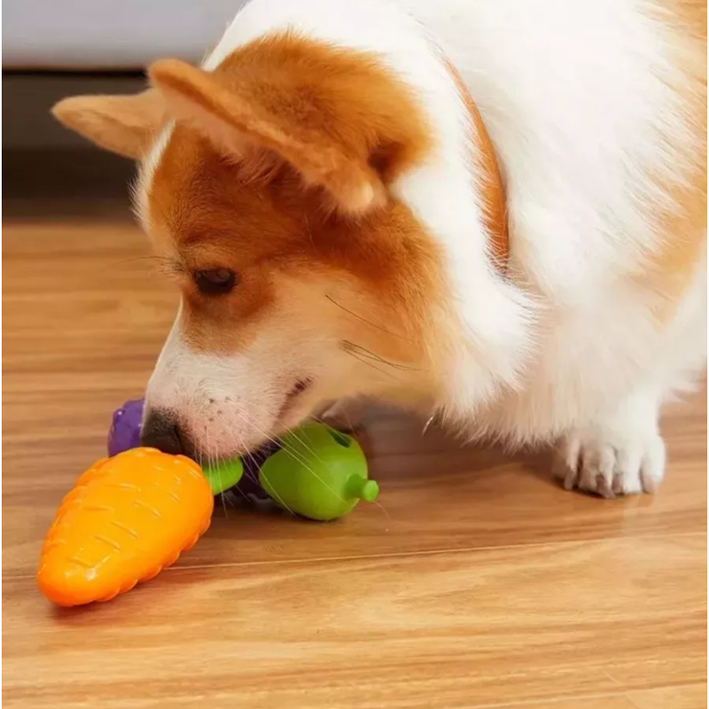 Mordedor Pet Cachorro Porta Petisco Resistente com Apito Vegetais Ajuda a Limpar os Dentes