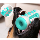 Brinquedo Mordedor Para Cachorro Saúde Dental Modelo de Osso