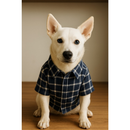 Camisa Xadrez Pet Festa Junina