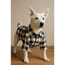 Camisa Xadrez Pet Festa Junina