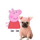 ROUPINHA PET PARA CACHORROS COSPLAY