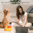 Dispensador Interativo De Comida Para Pets Em Forma De Pato Amarelo, Tigela Lenta para Pets
