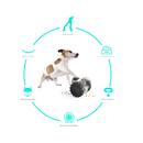 Brinquedo Interativo Gato E Cão Alimentador De Ração Pet