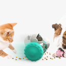 Brinquedo Interativo Gato E Cão Alimentador De Ração Pet
