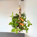Pendura Rango para calopsitas, RingNeck e Agapornis, Comedouro Psita Store