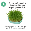 Bandeja Vaso Hidropônico Autoirrigável Grama Graminha para Gato Pet + 50gr Sementes Reutilizável