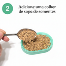 Bandeja Vaso Hidropônico Autoirrigável Grama Graminha para Gato Pet + 50gr Sementes Reutilizável