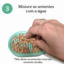 Bandeja Vaso Hidropônico Autoirrigável Grama Graminha para Gato Pet + 50gr Sementes Reutilizável