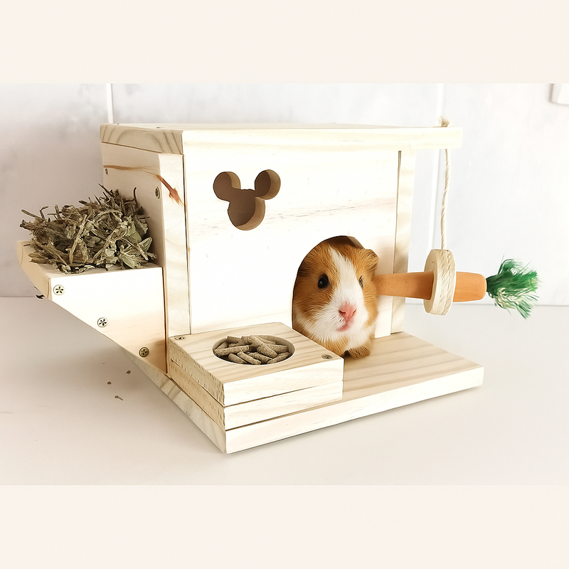 Casinha Para Coelho Porquinho da Índia Hamster e Chinchila