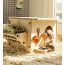 Casinha Para Coelho Porquinho da Índia Hamster e Chinchila