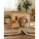 Casinha Para Coelho Porquinho da Índia Hamster e Chinchila