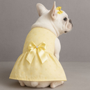 Vestido Pet em Laise Bordado com Laço e Pérola