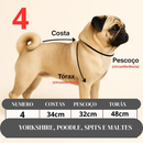 Vestido Pet Verão Para Bulldog Francês, ShihTzu, Pug e Yorkshire, para cachoros e gatos