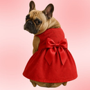 Vestido Pet em Laise Bordado com Laço e Pérola
