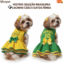 Vestido Brasil para Cachorro  | Roupa Pet Seleção Brasileira | Porte Pequeno e Médio | Copa