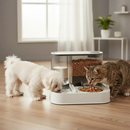 Comedouro e Bebedouro Mais Dog Automático Premium Pet Para Cães e Gatos 2em1