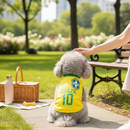 Roupinha Pet Brasil Camisa Copa do Mundo Nº10 Roupa para Cachorro e Gato Torcida