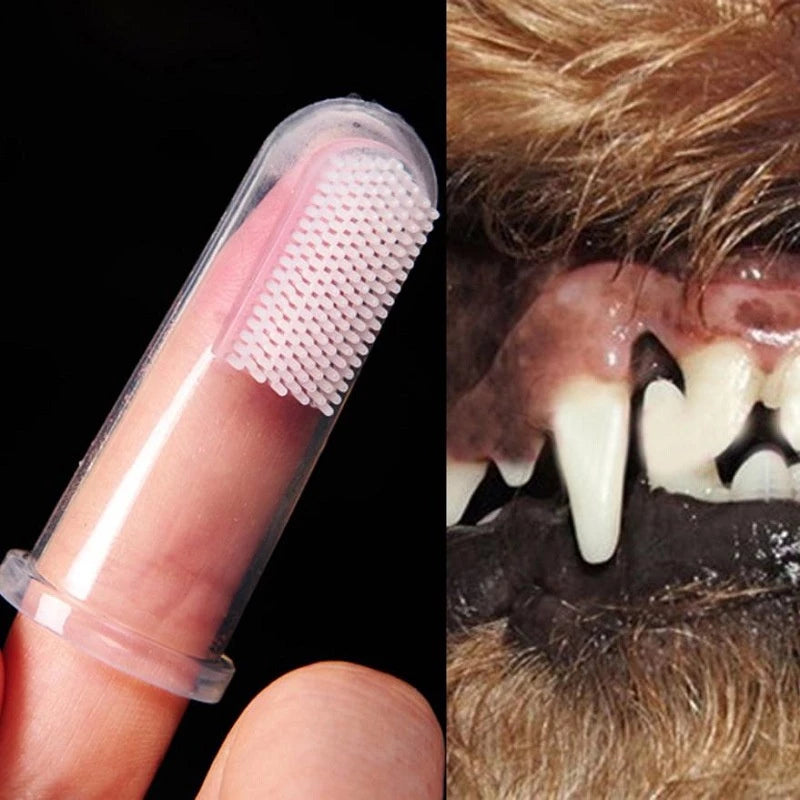 Escova de Dentes em Silicone para Pets Cães de Estimação Limpa Dentes do Gato Pronta Entrega