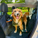 Capa De Proteção Impermeável Para Banco De Carro Pet Com Cinto De Segurança